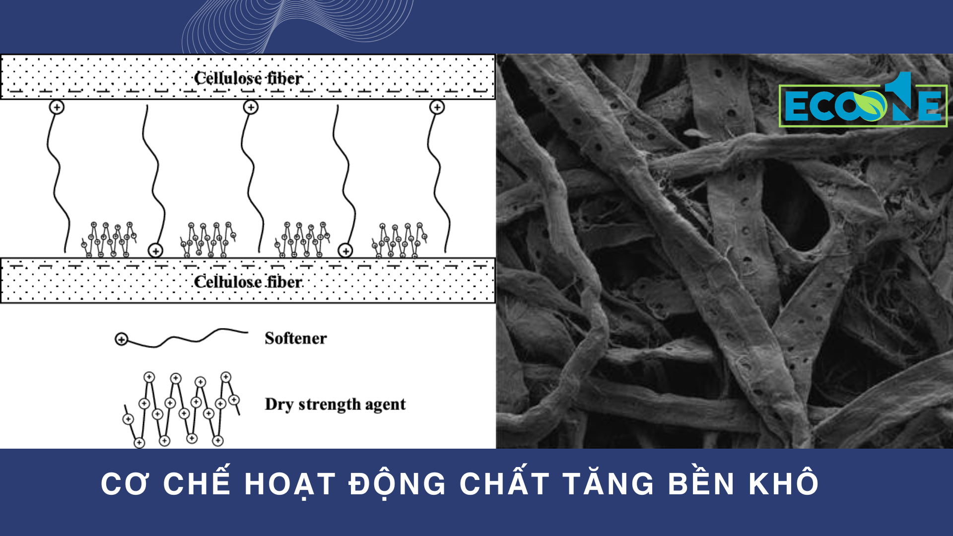 Co-che-hoat-dong-chat-tang-ben-kho